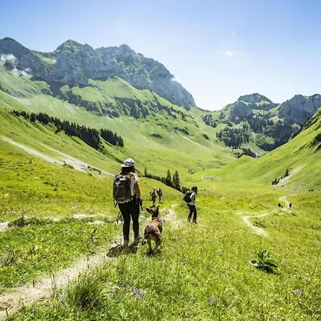 Domek alpejski Jet D'eau Jd20 Nature & Mountain 8 Pers *